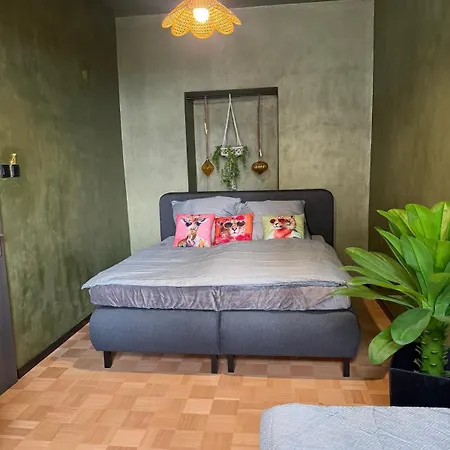 Dream Flat